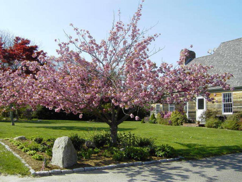 26 Otis Bassett Road