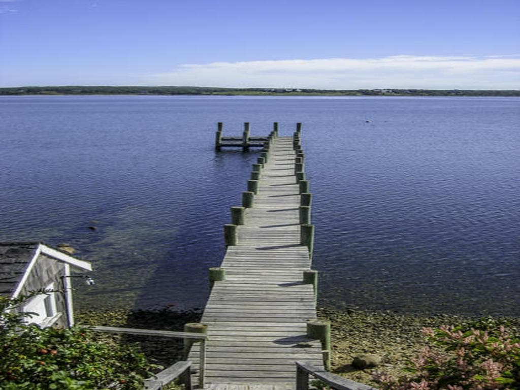 image_0
