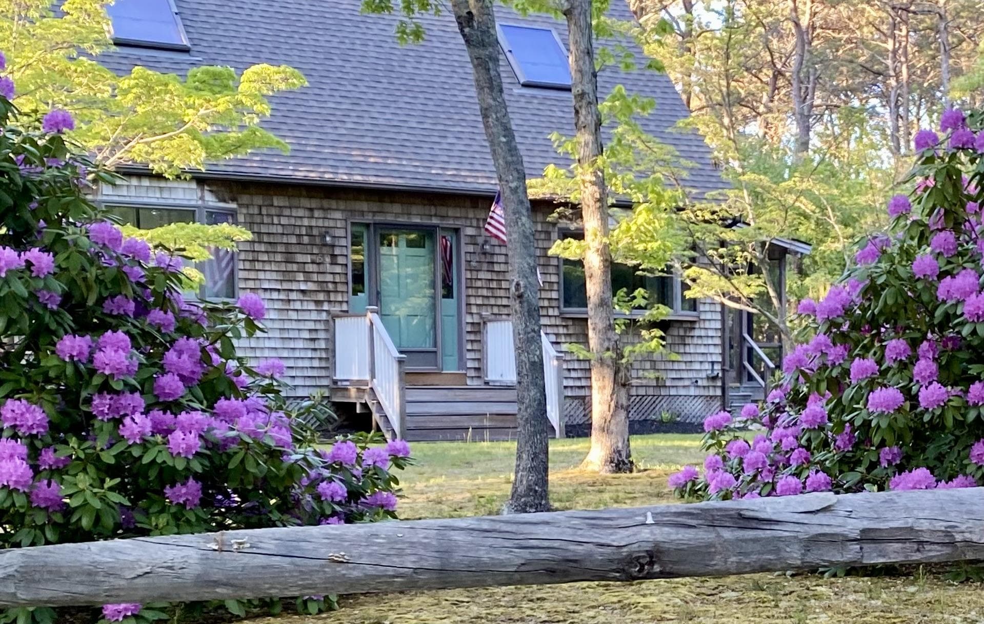 Main Property Images