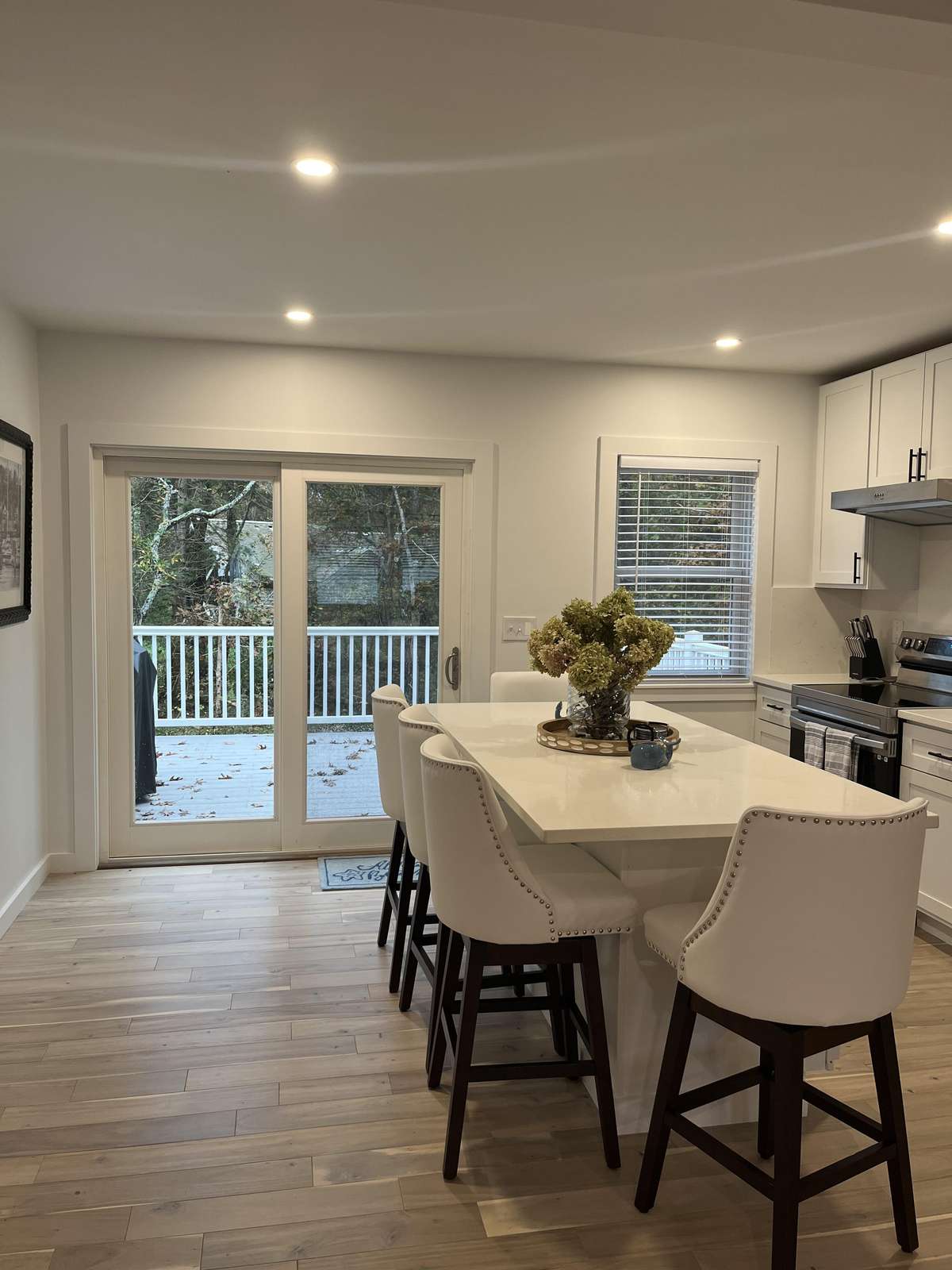 27 A Cormorant Circle