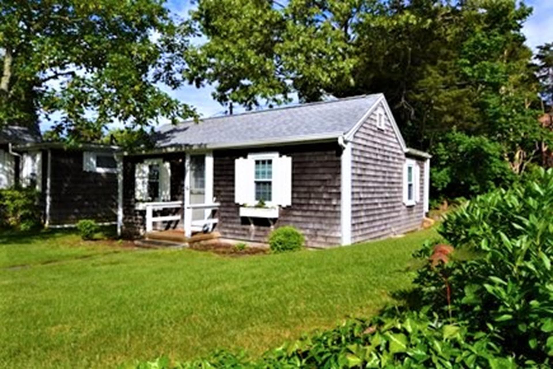 image_0